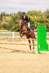 SBM_006453