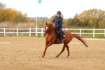 SBM_001833