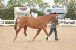 SBM_17031