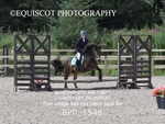 BPP_1548