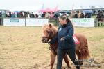 SHETPR 210425 17