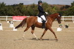 SBM_021887