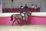 SBM_02051