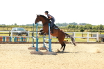 SBM_006676