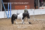 BPP_0477