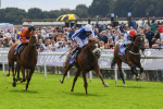 250823-Race 1-Marhaba The Champ-0125