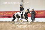 BPP_8404