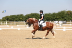 SBM_004317