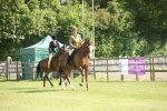 SBM_09731