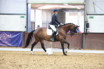 SBM_009085