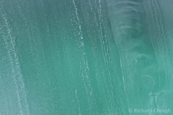Aqua Veil