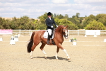 SBM_019251