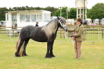SBM_00624