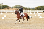 SBM_002734