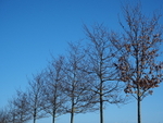 P1020080