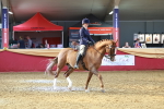SBM_20199