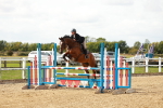 SBM_000952