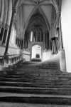 20090907-050
