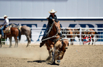 3HRodeo8-11-25_PRCASteer_04478_