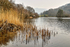 Rydal Water