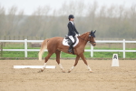 SBM_003276