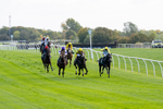 Race 1 1pm EBF 'Confined' Restricted Maiden Stakes portfolio
