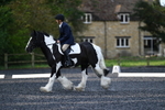 WJ5_8673