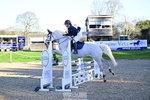 1 British Novice and 90cm Open portfolio