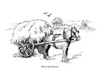 Horse with hay cart