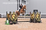 BPP_8436
