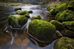 Brockmill Stones C