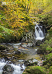 Waterfalls, Afon Clywedog