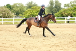 SBM_001292
