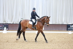 SBM_006003