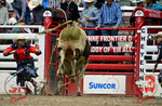 3HRodeo_CFD_JUL_22_2026_03249