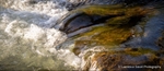 White Water on the River Dove