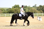SBM_007843