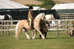 SBM_10189