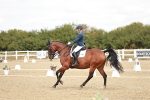SBM_009515