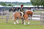 SBM_08538