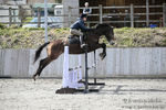BVRC SJ 170319 553