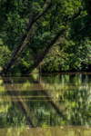 Blandford Stour