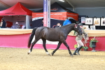 SBM_02975