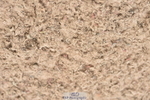 230810A-135246-01210