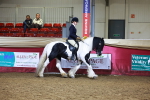 SBM_15586