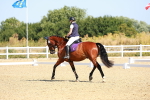 SBM_009568