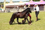 SBM_08597