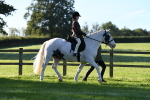SBM_35316