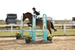 SBM_03906