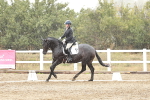 SBM_004009